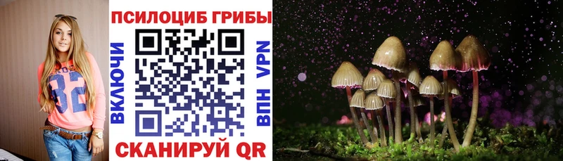 Псилоцибиновые грибы GOLDEN TEACHER  дарк нет телеграм  Чишмы 